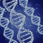 松之浜整骨院 遺伝子検査