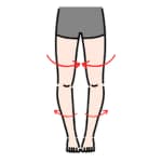 股関節が内向きのO脚